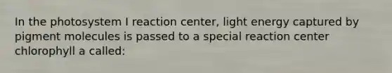 In the photosystem I reaction center, light energy captured by pigment molecules is passed to a special reaction center chlorophyll a called: