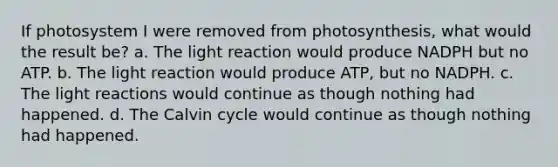 If photosystem I were removed from photosynthesis, what would the result be? a. The light reaction would produce NADPH but no ATP. b. The light reaction would produce ATP, but no NADPH. c. The light reactions would continue as though nothing had happened. d. The Calvin cycle would continue as though nothing had happened.