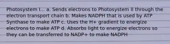 Photosystem I... a. Sends electrons to Photosystem II through the electron transport chain b. Makes NADPH that is used by ATP Synthase to make ATP c. Uses the H+ gradient to energize electrons to make ATP d. Absorbs light to energize electrons so they can be transferred to NADP+ to make NADPH