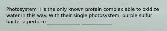 Photosystem II is the only known protein complex able to oxidize water in this way. With their single photosystem, purple sulfur bacteria perform ______________ _____________