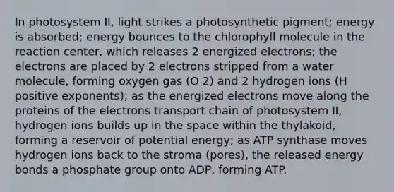 In photosystem II, light strikes a photosynthetic pigment; energy is absorbed; energy bounces to the chlorophyll molecule in the reaction center, which releases 2 energized electrons; the electrons are placed by 2 electrons stripped from a water molecule, forming oxygen gas (O 2) and 2 hydrogen ions (H positive exponents); as the energized electrons move along the proteins of the electrons transport chain of photosystem II, hydrogen ions builds up in the space within the thylakoid, forming a reservoir of potential energy; as ATP synthase moves hydrogen ions back to the stroma (pores), the released energy bonds a phosphate group onto ADP, forming ATP.