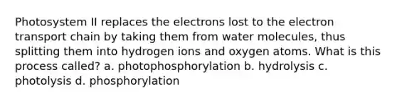 Photosystem II replaces the electrons lost to the electron transport chain by taking them from water molecules, thus splitting them into hydrogen ions and oxygen atoms. What is this process called? a. photophosphorylation b. hydrolysis c. photolysis d. phosphorylation