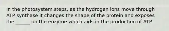 In the photosystem steps, as the hydrogen ions move through ATP synthase it changes the shape of the protein and exposes the ______ on the enzyme which aids in the production of ATP