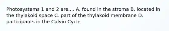 Photosystems 1 and 2 are.... A. found in the stroma B. located in the thylakoid space C. part of the thylakoid membrane D. participants in the Calvin Cycle