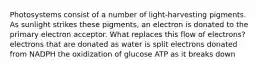 Photosystems consist of a number of light-harvesting pigments. As sunlight strikes these pigments, an electron is donated to the primary electron acceptor. What replaces this flow of electrons? electrons that are donated as water is split electrons donated from NADPH the oxidization of glucose ATP as it breaks down