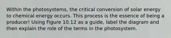 Within the photosystems, the critical conversion of solar energy to chemical energy occurs. This process is the essence of being a producer! Using Figure 10.12 as a guide, label the diagram and then explain the role of the terms in the photosystem.