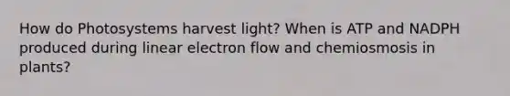 How do Photosystems harvest light? When is ATP and NADPH produced during linear electron flow and chemiosmosis in plants?