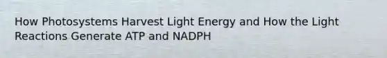 How Photosystems Harvest Light Energy and How the Light Reactions Generate ATP and NADPH