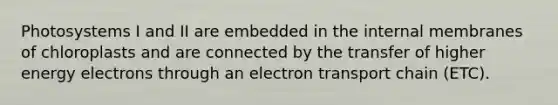 Photosystems I and II are embedded in the internal membranes of chloroplasts and are connected by the transfer of higher energy electrons through an electron transport chain (ETC).