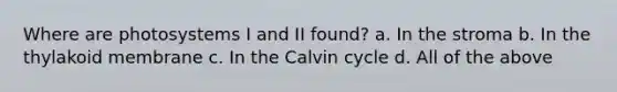 Where are photosystems I and II found? a. In the stroma b. In the thylakoid membrane c. In the Calvin cycle d. All of the above