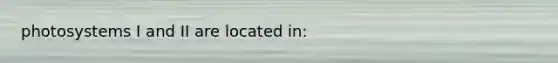 photosystems I and II are located in: