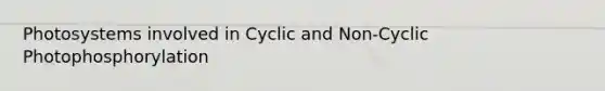 Photosystems involved in Cyclic and Non-Cyclic Photophosphorylation