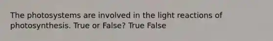 The photosystems are involved in the <a href='https://www.questionai.com/knowledge/kSUoWrrvoC-light-reactions' class='anchor-knowledge'>light reactions</a> of photosynthesis. True or False? True False