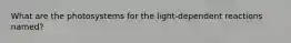 What are the photosystems for the light-dependent reactions named?