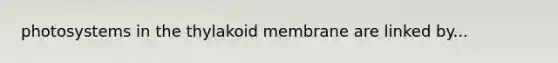 photosystems in the thylakoid membrane are linked by...