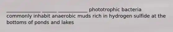 ______________ ______ ____________ phototrophic bacteria commonly inhabit anaerobic muds rich in hydrogen sulfide at the bottoms of ponds and lakes