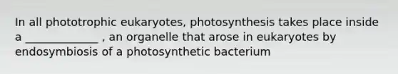 In all phototrophic eukaryotes, photosynthesis takes place inside a _____________ , an organelle that arose in eukaryotes by endosymbiosis of a photosynthetic bacterium