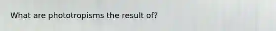 What are phototropisms the result of?