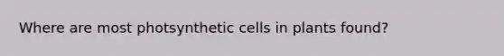 Where are most photsynthetic cells in plants found?