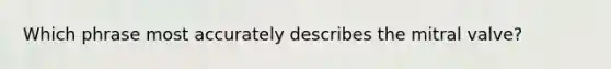 Which phrase most accurately describes the mitral valve?