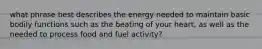 what phrase best describes the energy needed to maintain basic bodily functions such as the beating of your heart, as well as the needed to process food and fuel activity?