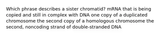 Which phrase describes a sister chromatid? mRNA that is being copied and still in complex with DNA one copy of a duplicated chromosome the second copy of a homologous chromosome the second, noncoding strand of double‑stranded DNA