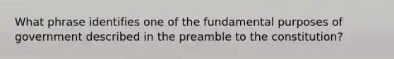 What phrase identifies one of the fundamental purposes of government described in the preamble to the constitution?