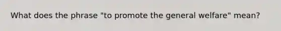 What does the phrase "to promote the general welfare" mean?