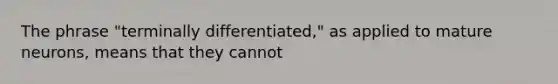 The phrase "terminally differentiated," as applied to mature neurons, means that they cannot