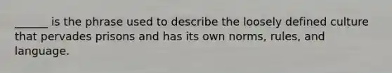 ______ is the phrase used to describe the loosely defined culture that pervades prisons and has its own norms, rules, and language.