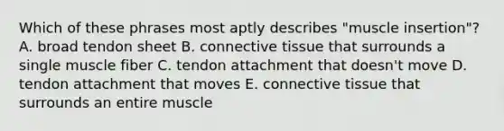 Which of these phrases most aptly describes "muscle insertion"? A. broad tendon sheet B. connective tissue that surrounds a single muscle fiber C. tendon attachment that doesn't move D. tendon attachment that moves E. connective tissue that surrounds an entire muscle