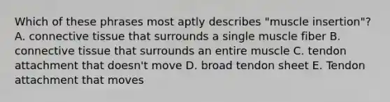 Which of these phrases most aptly describes "muscle insertion"? A. connective tissue that surrounds a single muscle fiber B. connective tissue that surrounds an entire muscle C. tendon attachment that doesn't move D. broad tendon sheet E. Tendon attachment that moves