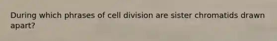 During which phrases of cell division are sister chromatids drawn apart?