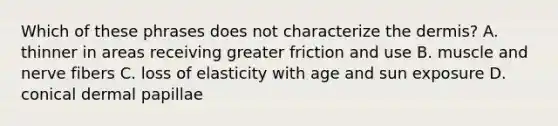 Which of these phrases does not characterize the dermis? A. thinner in areas receiving greater friction and use B. muscle and nerve fibers C. loss of elasticity with age and sun exposure D. conical dermal papillae