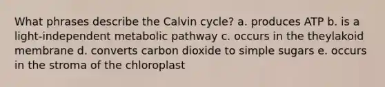 What phrases describe the Calvin cycle? a. produces ATP b. is a light-independent metabolic pathway c. occurs in the theylakoid membrane d. converts carbon dioxide to simple sugars e. occurs in the stroma of the chloroplast