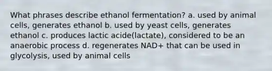 What phrases describe ethanol fermentation? a. used by animal cells, generates ethanol b. used by yeast cells, generates ethanol c. produces lactic acide(lactate), considered to be an anaerobic process d. regenerates NAD+ that can be used in glycolysis, used by animal cells