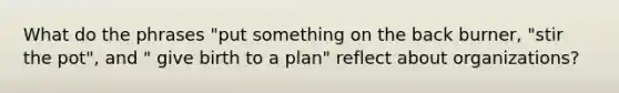 What do the phrases "put something on the back burner, "stir the pot", and " give birth to a plan" reflect about organizations?