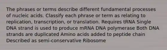 The phrases or terms describe different fundamental processes of nucleic acids. Classify each phrase or term as relating to replication, transcription, or translation. Requires tRNA Single DNA strand is used to produce mRNA DNA polymerase Both DNA strands are duplicated Amino acids added to peptide chain Described as semi-conservative Ribosome