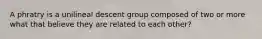 A phratry is a unilineal descent group composed of two or more what that believe they are related to each other?