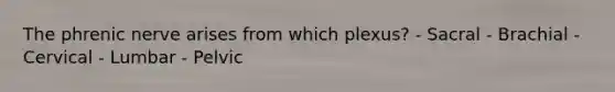 The phrenic nerve arises from which plexus? - Sacral - Brachial - Cervical - Lumbar - Pelvic