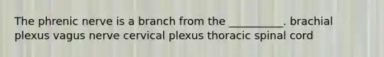 The phrenic nerve is a branch from the __________. brachial plexus vagus nerve cervical plexus thoracic spinal cord