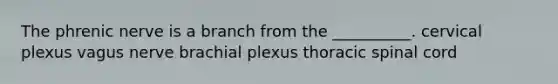 The phrenic nerve is a branch from the __________. cervical plexus vagus nerve brachial plexus thoracic spinal cord