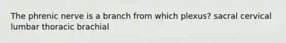 The phrenic nerve is a branch from which plexus? sacral cervical lumbar thoracic brachial