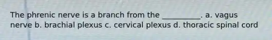 The phrenic nerve is a branch from the __________. a. vagus nerve b. brachial plexus c. cervical plexus d. thoracic spinal cord