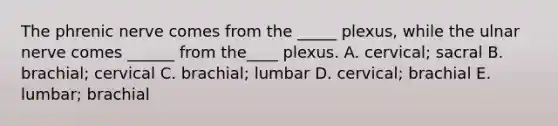 The phrenic nerve comes from the _____ plexus, while the ulnar nerve comes ______ from the____ plexus. A. cervical; sacral B. brachial; cervical C. brachial; lumbar D. cervical; brachial E. lumbar; brachial