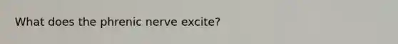 What does the phrenic nerve excite?