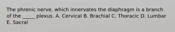 The phrenic nerve, which innervates the diaphragm is a branch of the _____ plexus. A. Cervical B. Brachial C. Thoracic D. Lumbar E. Sacral