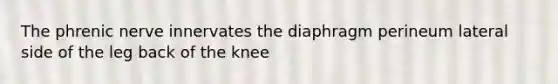 The phrenic nerve innervates the diaphragm perineum lateral side of the leg back of the knee