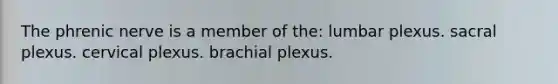 The phrenic nerve is a member of the: lumbar plexus. sacral plexus. cervical plexus. brachial plexus.