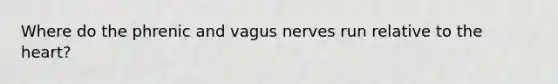 Where do the phrenic and vagus nerves run relative to the heart?